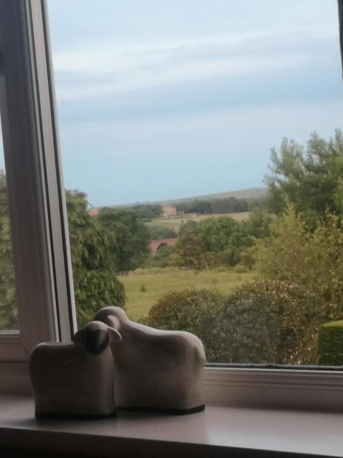 Greystones Guesthouse Γουίτμπι Εξωτερικό φωτογραφία